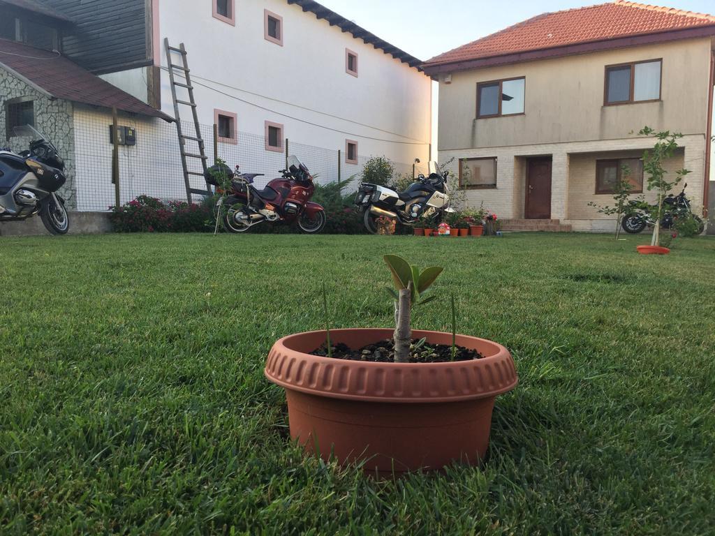 Casa Noastra Hotel Vama Veche Exterior foto